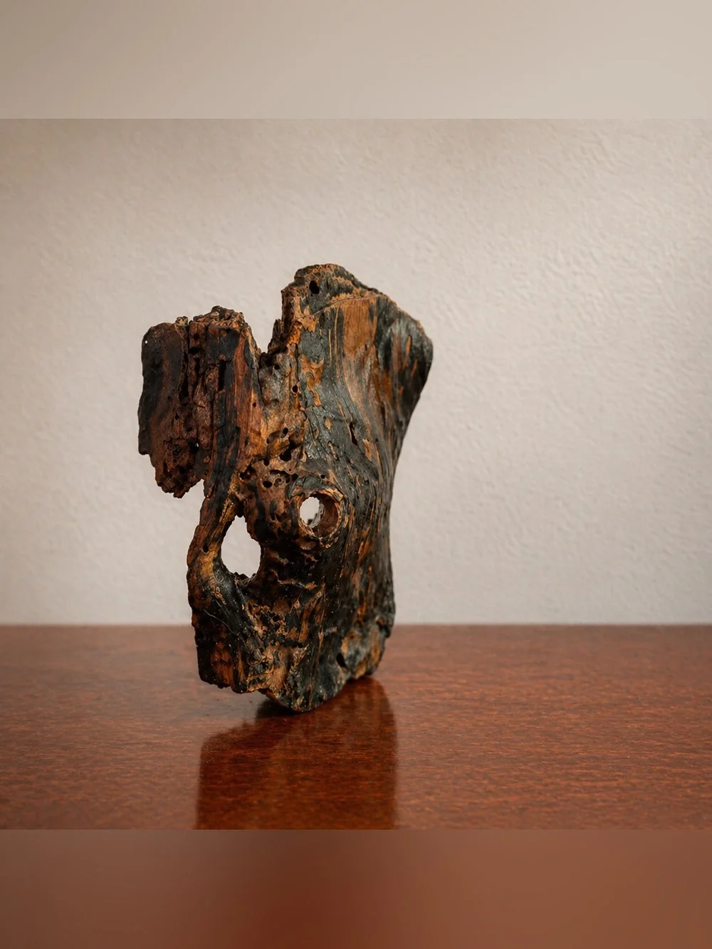 Natural Driftwood Hide for Reptile & Invertebrate Terrariums